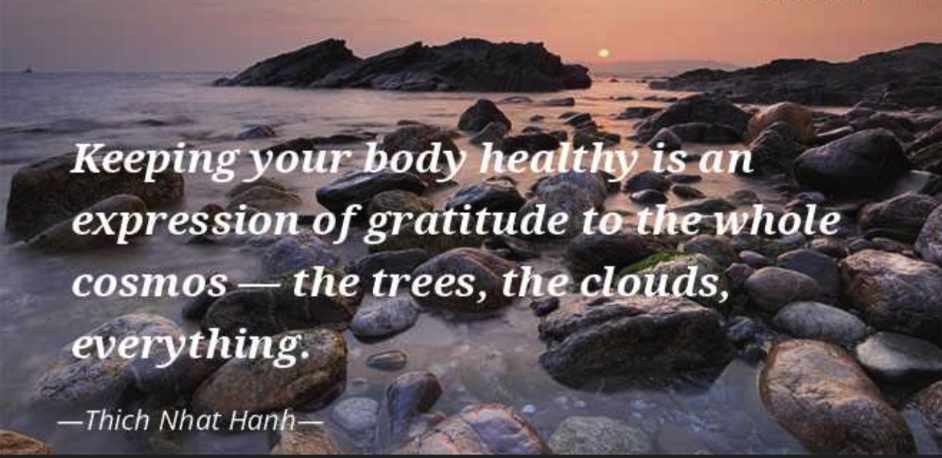 “Keeping your body healthy is an expression of gratitude to the whole cosmos — the trees, the clouds, everything.”

― Thich Nhat Hanh