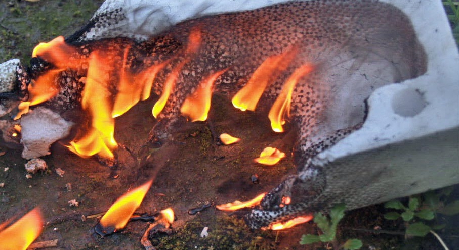 Polystyrene Foam burning.