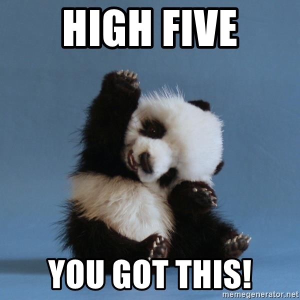 Panda High Five You Got This